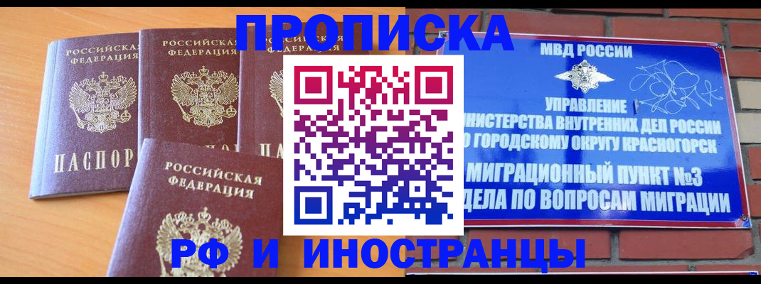 прописка гарантия в Вольске
